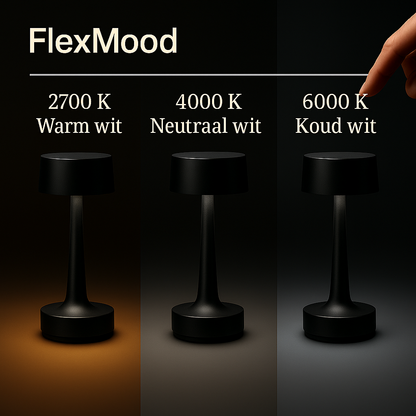 Romy – Tafellamp – Oplaadbaar – Voor Binnen & Buiten – 21 cm – Zwart - 2 Stuks